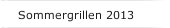 Sommergrillen 2013